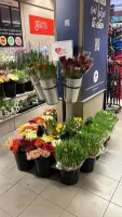 Valentijn